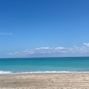 Meet your Posher, Ellen